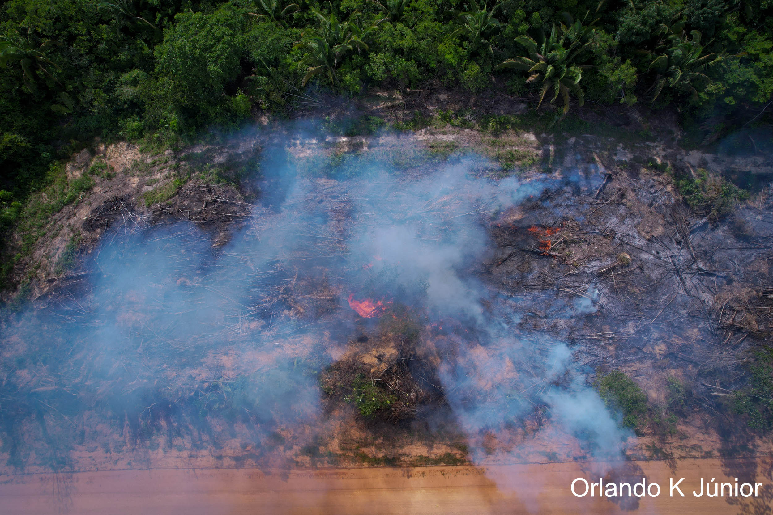 Como o desmatamento na Amazônia tem afetado a saúde pública? - Blog da FAS, image size:2500x1667