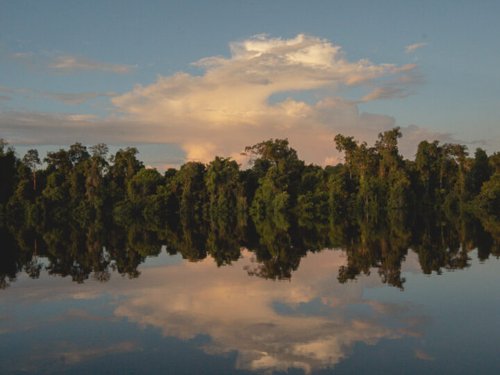 O desafio da década 2010-2020: Amazônia