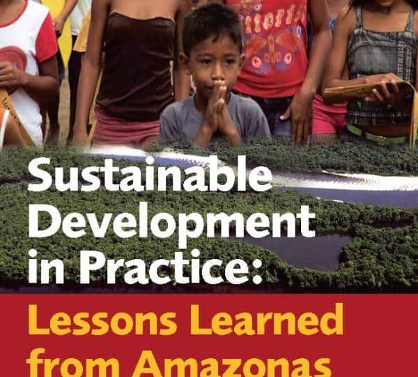 Sustainable Development in Practice: Lessons Learned from Amazonas