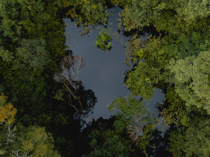 Desmatamento e Interesse Nacional