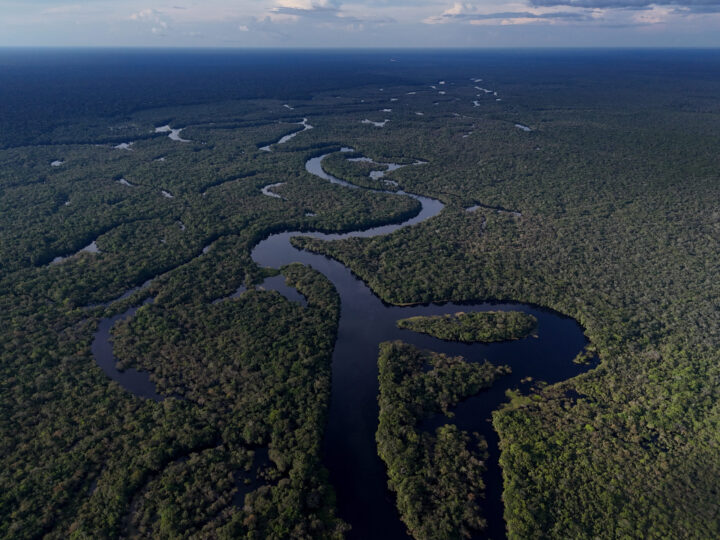 A mudança de ministro resultará em mudança de rumo no Meio Ambiente?