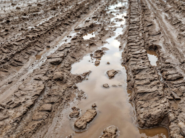 Não há desenvolvimento sem proteção ambiental