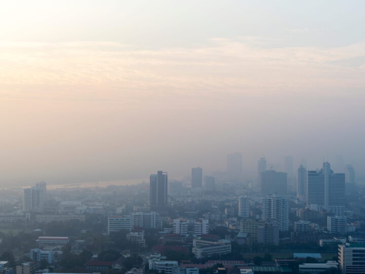 Poluição do ar, saúde e economia da Amazônia