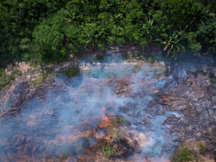 Mais queimadas e menos desmatamento na Amazônia