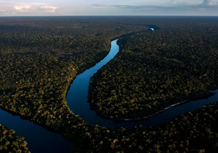 Amazônia é menos importante do que os bancos para o futuro da humanidade?