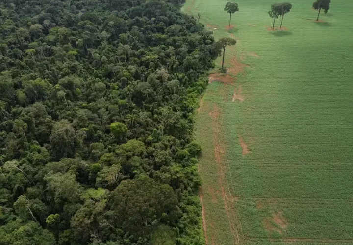 Aperfeiçoar versus desestruturar o licenciamento ambiental