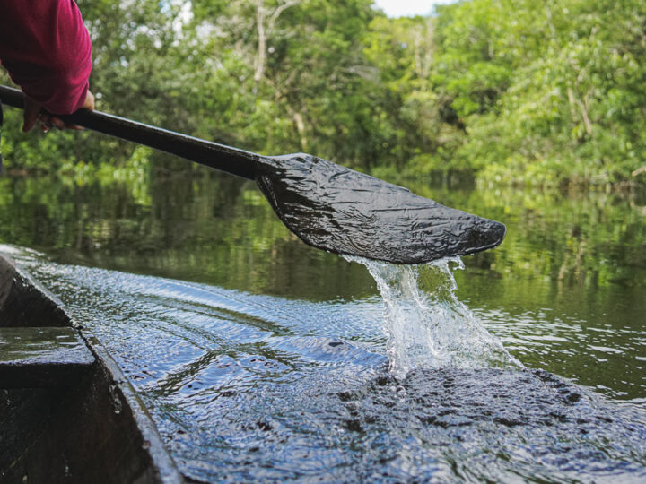 Remando na mesma direção