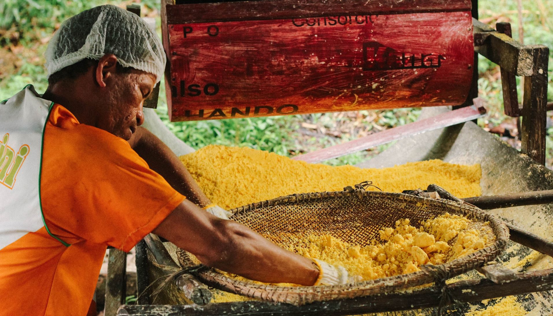 Dê Exemplos De Produtos De Importância Econômica Extraídos Da Amazônica