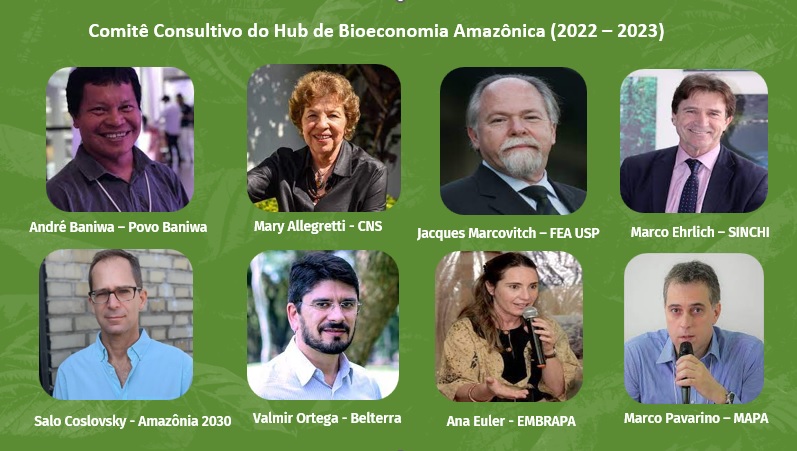 Hub de Bioeconomia Amazônica inicia formação do comitê consultivo da rede. Conheça nossos conselheiros e conselheiras 