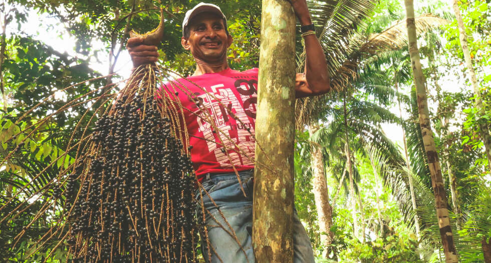 Comunidade fortalece rede de soluções por uma bioeconomia inclusiva na Amazônia