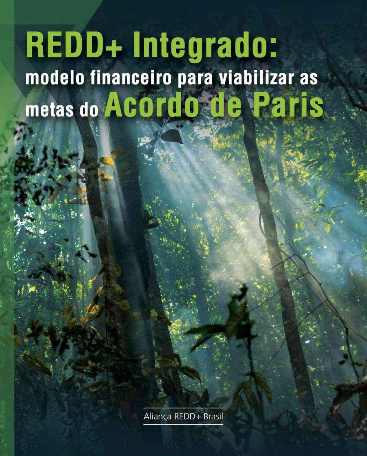 Capa de publicação feita pela Aliança REED+ Brasil.