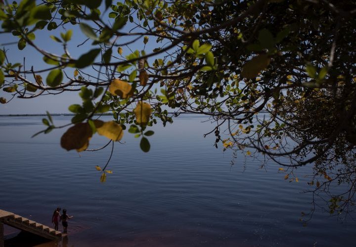 Dia da Amazônia (05/09) tem bate-papo online com o tema ‘Como a Amazônia cuida da gente’