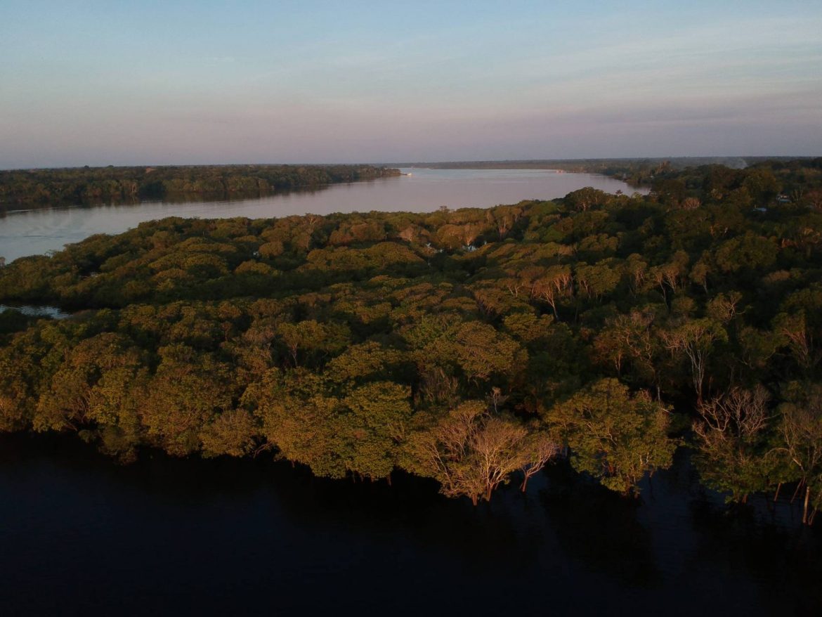 Imagem aérea de floresta amazônica.