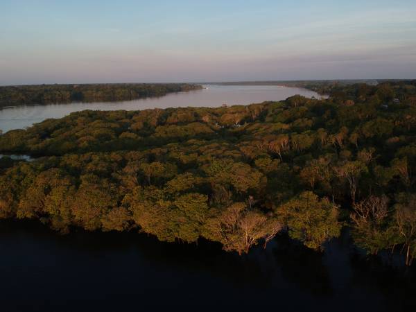 Imagem aérea de floresta amazônica.