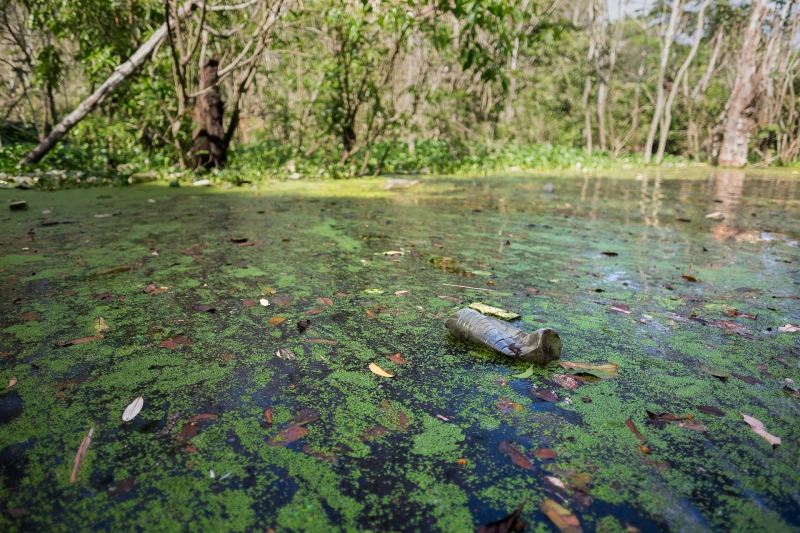 Igarapé repleto de lixo.