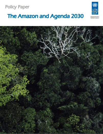 Capa de publicação feita pela Fundação Amazônia Sustentável (FAS).