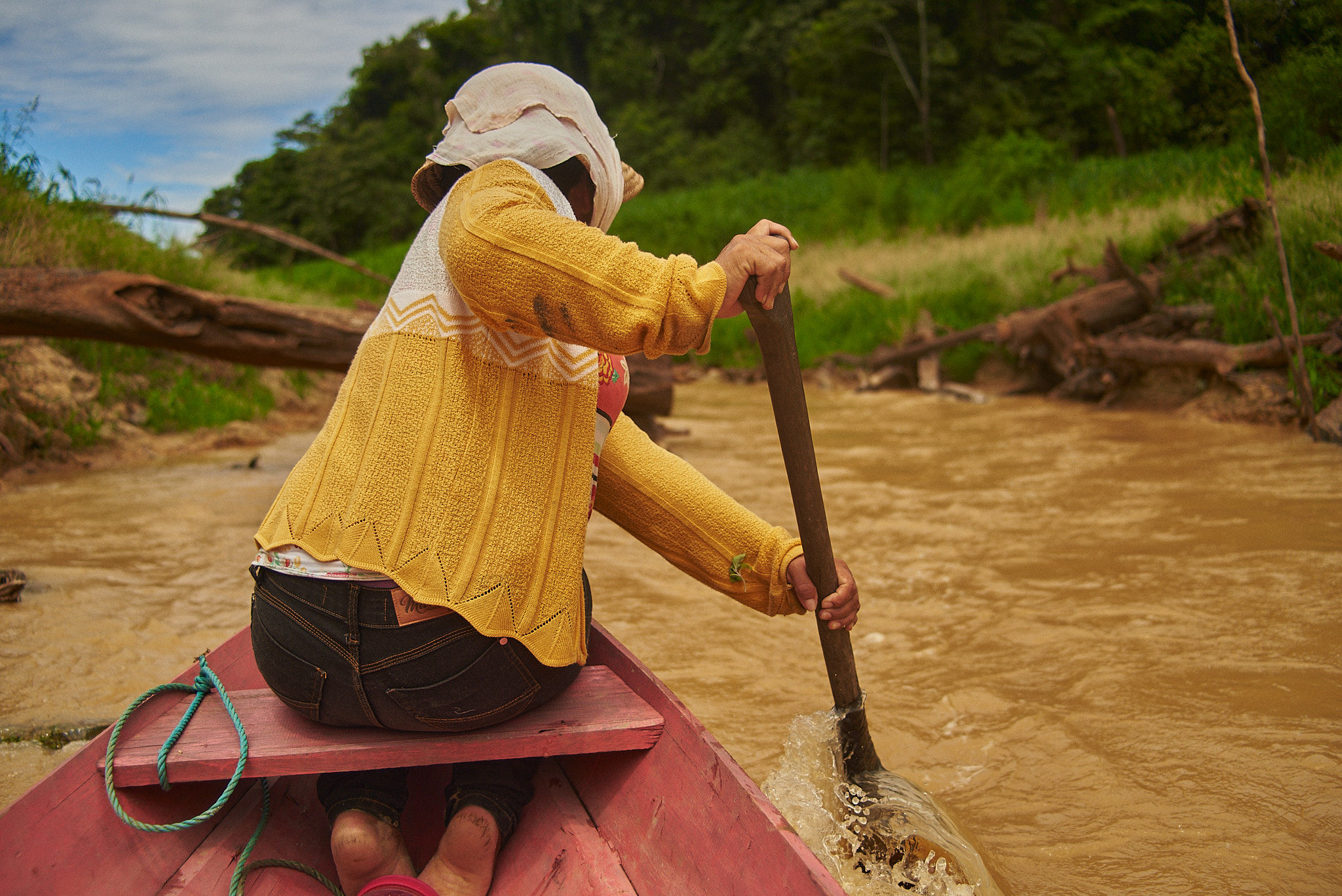 Evento virtual celebra Dia da Mulher e aborda realidade das mulheres amazônicas