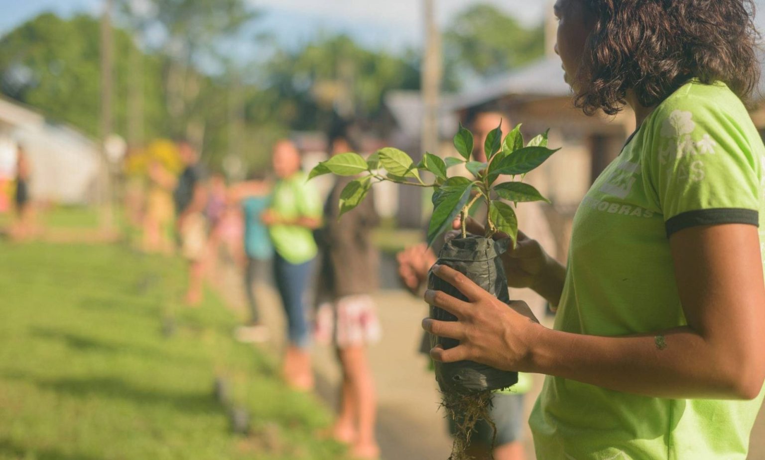 Garota segurando muda de árvore para ser plantada.
