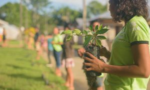 Garota segurando muda de árvore para ser plantada.