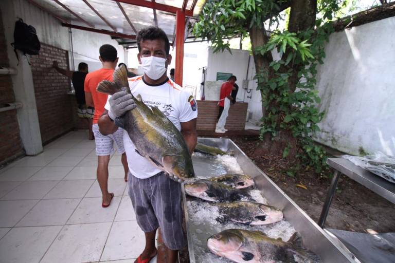 Homem segurando tambaqui, peixe típico do Amazonas.