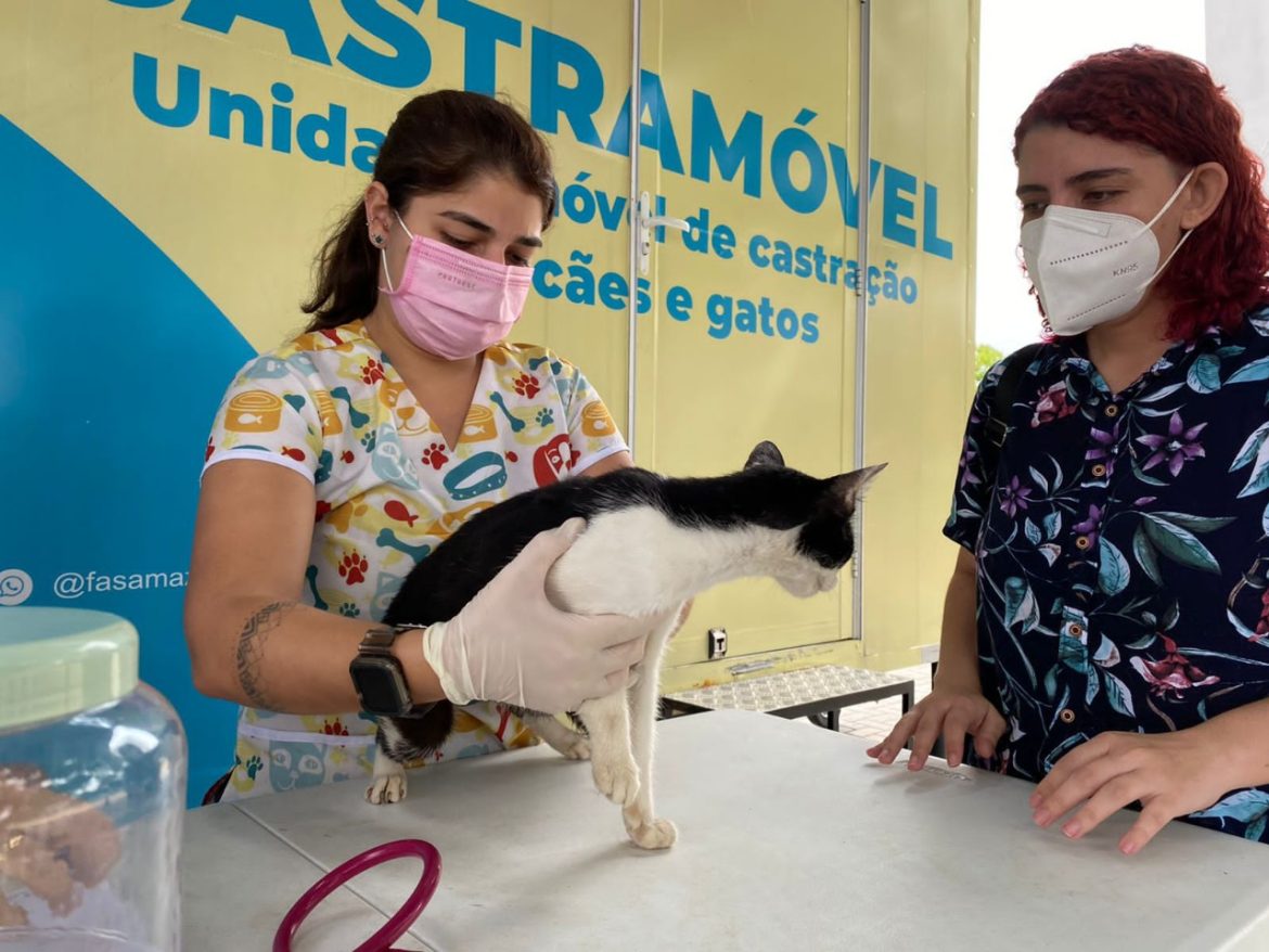 Veterinária cuidando de gato durante ação apoiada pela Fundação Amazônia Sustentável (FAS).