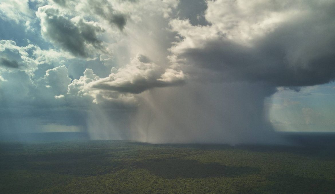 Chuva caindo sobre floresta amazônica.
