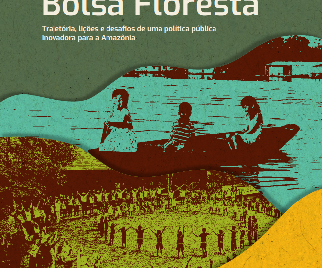 Programa Bolsa Floresta: trajetória, lições e desafios de uma política pública inovadora para a Amazônia