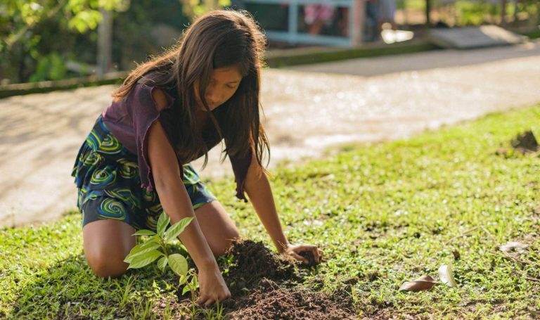 Criança plantando muda durante a Semana do Meio Ambiente, em comunidade no interior do Amazonas.