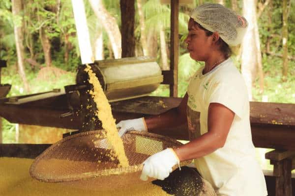 Mulher ribeirinha fazendo farinha no interior do Amazonas.
