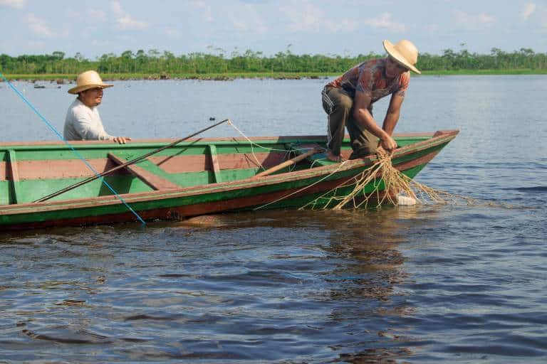 Dois homens em uma canoa, realizando o manejo de pirarucu.
