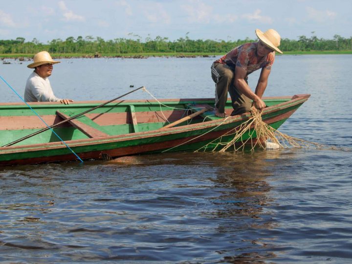 Primeiro encontro da série “Diálogos para uma bioeconomia inclusiva na Amazônia” ecoou as vozes da economia verde na região