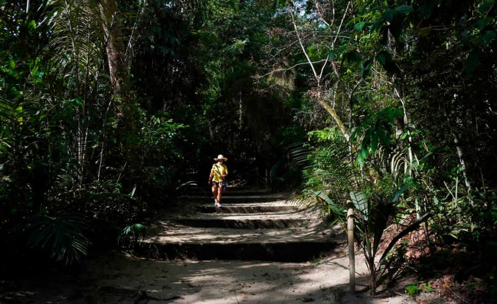 Mulher caminhando no meio da floresta.