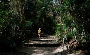 Mulher caminhando no meio da floresta.