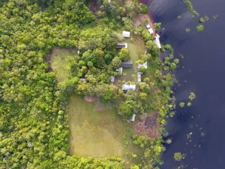 Oficina virtual apresenta conceitos ligados ao mercado de carbono para estados da Amazônia Legal