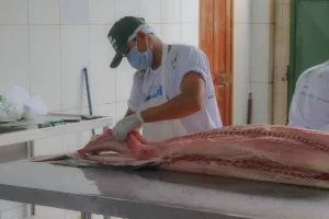 Homem cortando peixe na Feira da FAS, realizada pela Fundação Amazônia Sustentável (FAS) em parceria com a Associação dos Moradores e Usuários da RDS Mamirauá Antônio Martins (Amurman).