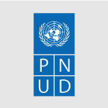 Logo do United Nations Development Programme, parceiro da Fundação Amazônia Sustentável.