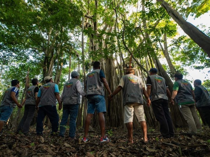 Instituição ligada à ONU realiza debates gratuitos em preparação para Cúpula da Amazônia