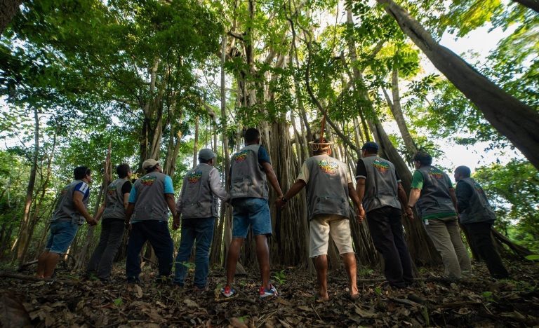 Pessoas reunidas ao redor de uma árvore no meio da floresta.