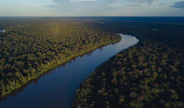 Imagem aérea de rio na Amazônia.