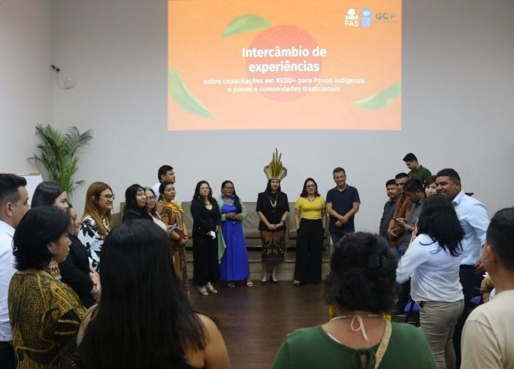 Lideranças indígenas discutem propostas para formações em REDD+ e mercado de carbono nos estados da Amazônia Legal