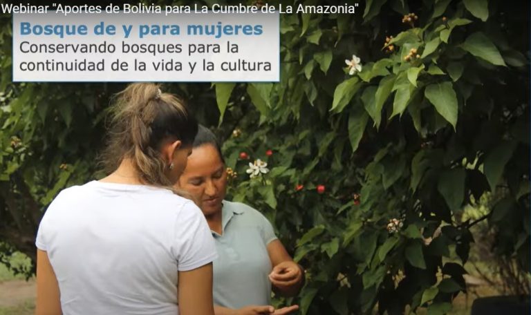 Imagem do Webinar "Aportes de Bolivia para La Cumbre de La Amazonia".