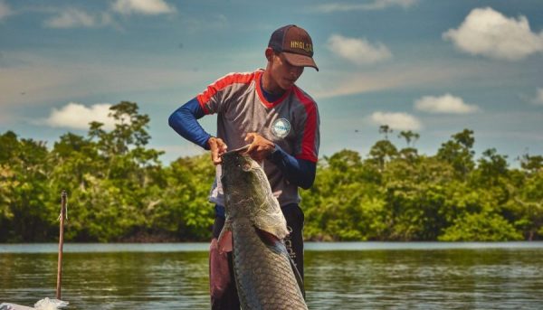 Homem pescando pirarucu, peixe típico da Amazônia, através do manejo sustentável apoiado pelo programa Floresta em Pé da Fundação Amazônia Sustentável (FAS).