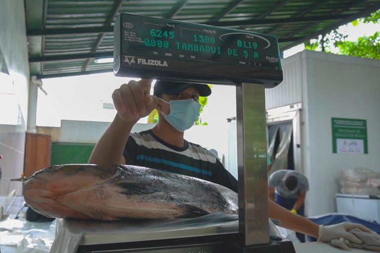 Tambaqui sendo vendido durante Feira do Tambaqui realizada pela Fundação Amazônia Sustentável (FAS), em Manaus.