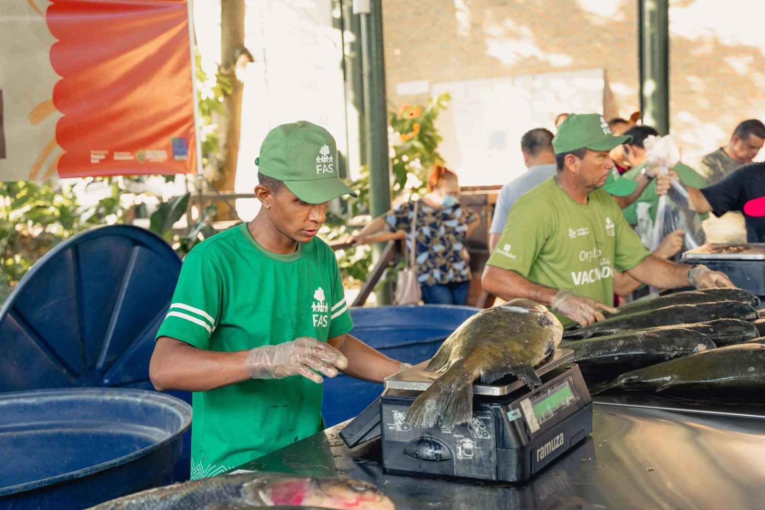 Homem pesando tambaqui na Feira do Tambaqui, realizada Fundação Amazônia Sustentável (FAS).
