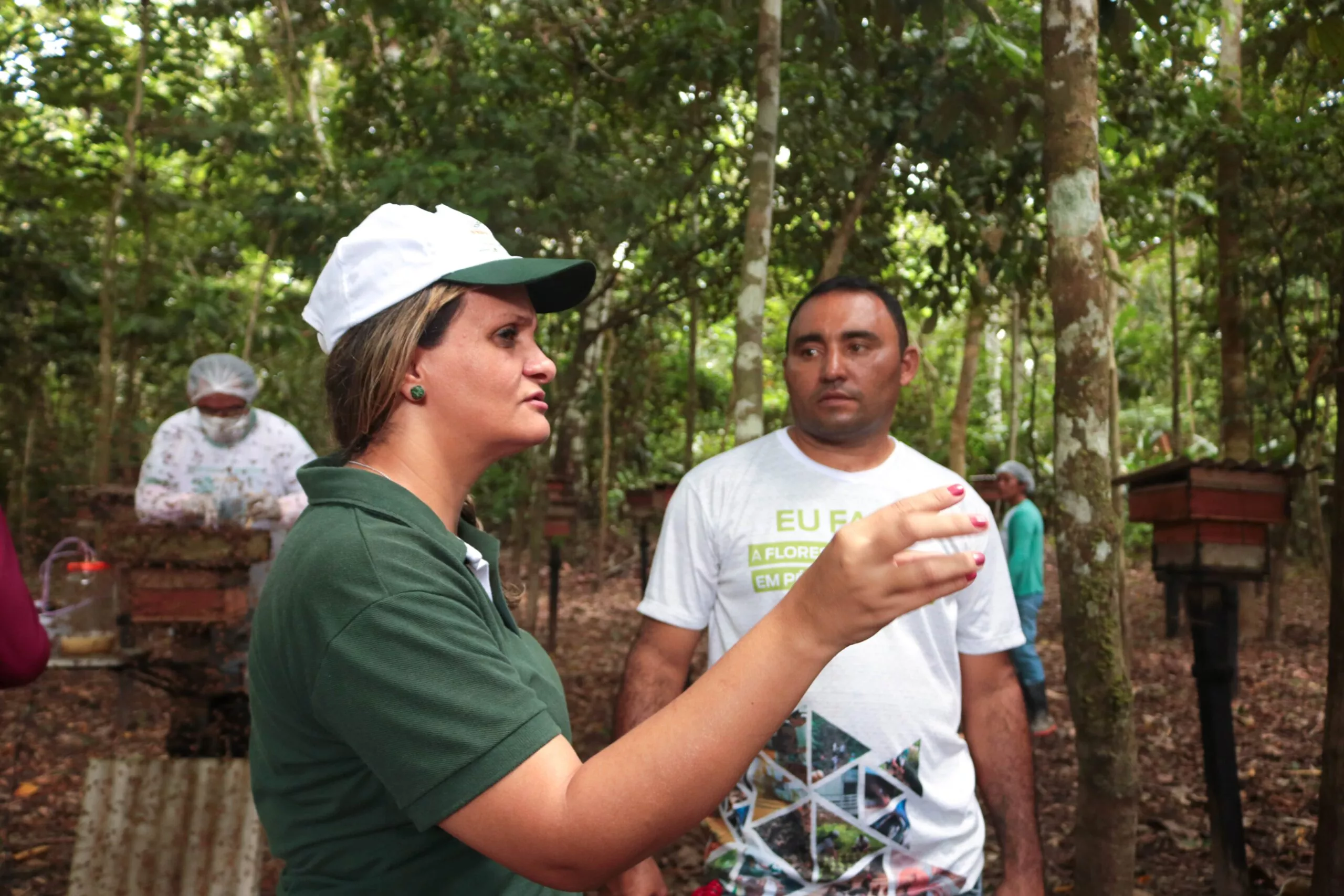 Edital Floresta em Pé