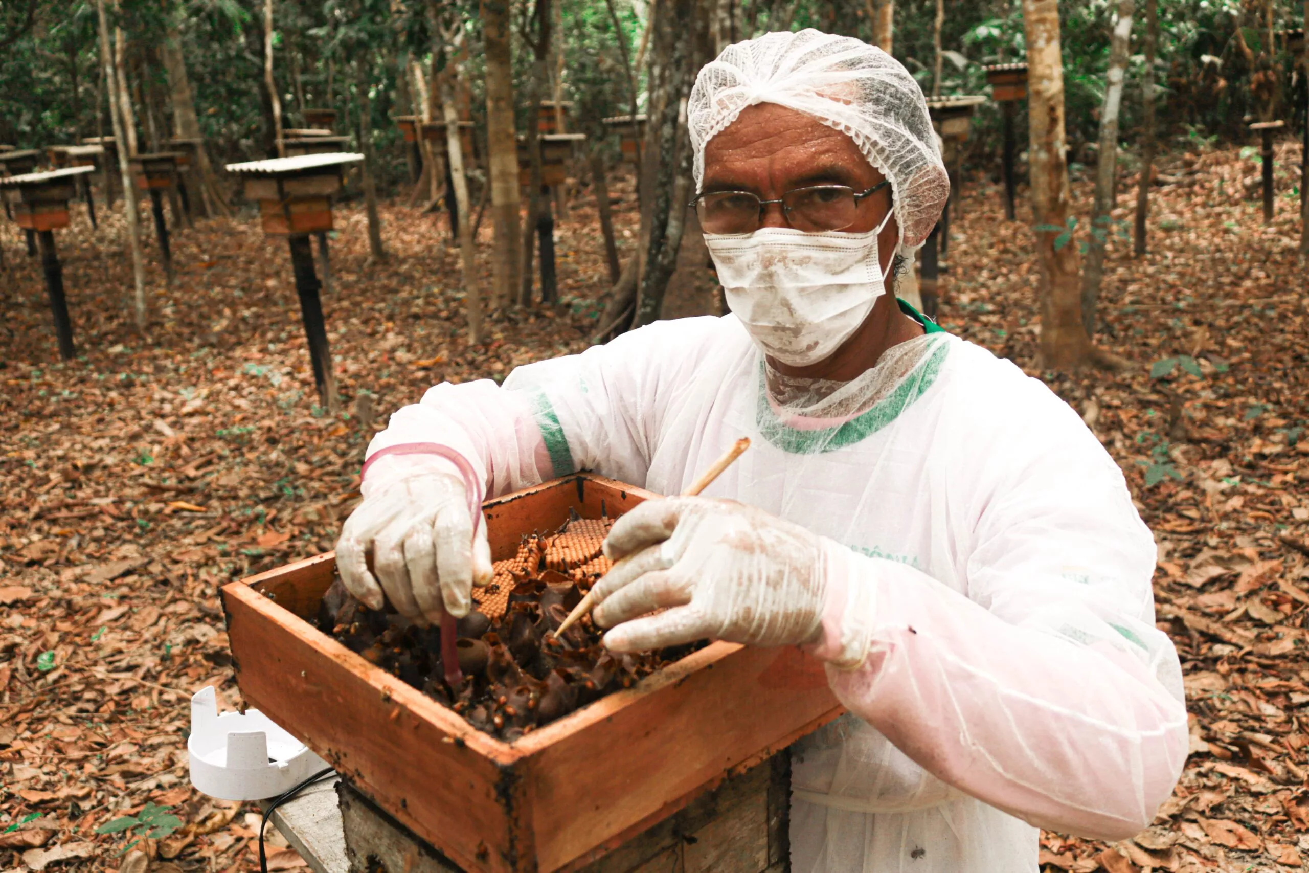 Edital Floresta em Pé