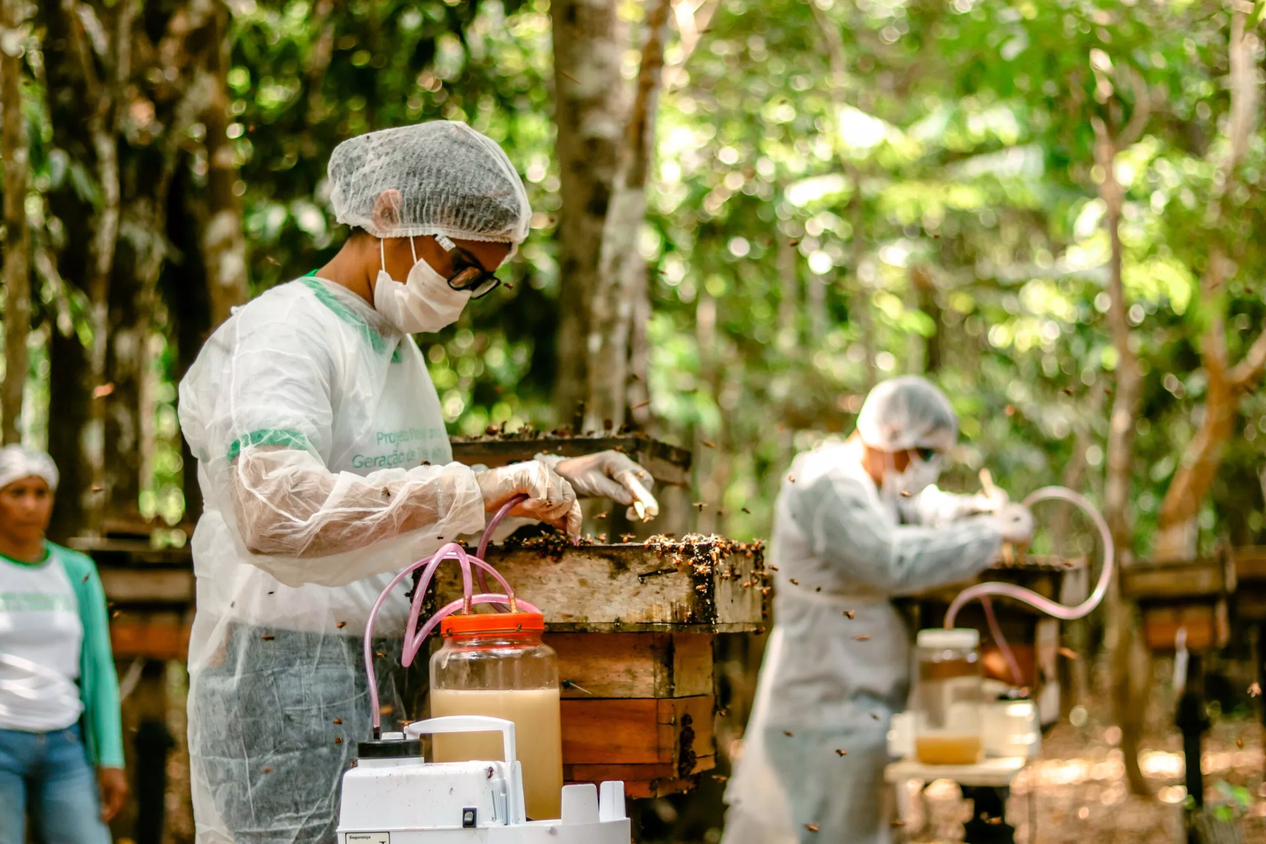 Edital Floresta em Pé