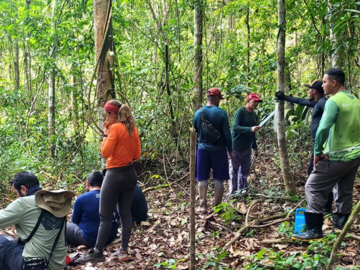 Implantação do Parque Estadual das Árvores Gigantes da Amazônia entra em nova fase de execução