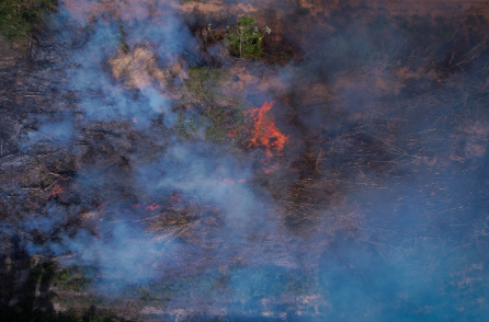 Prevenção e combate aos incêndios na Amazônia
