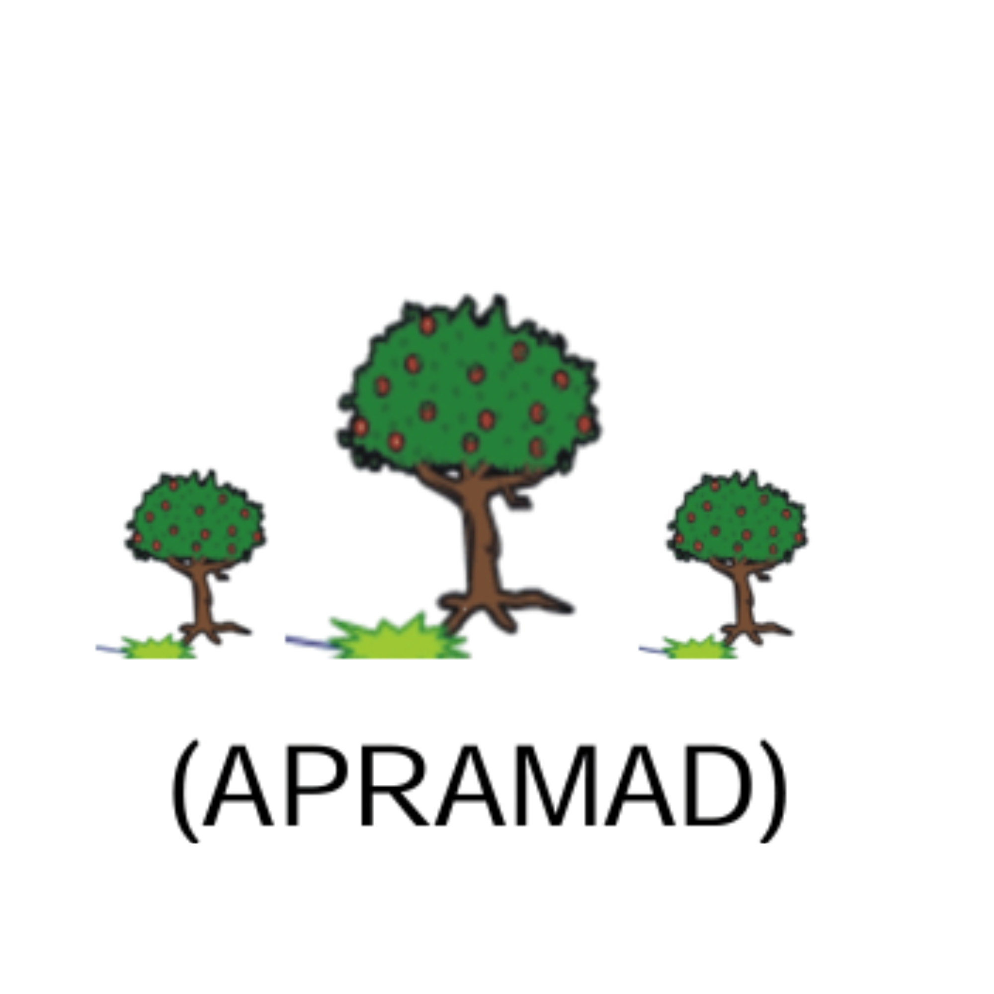 Parceiro 11